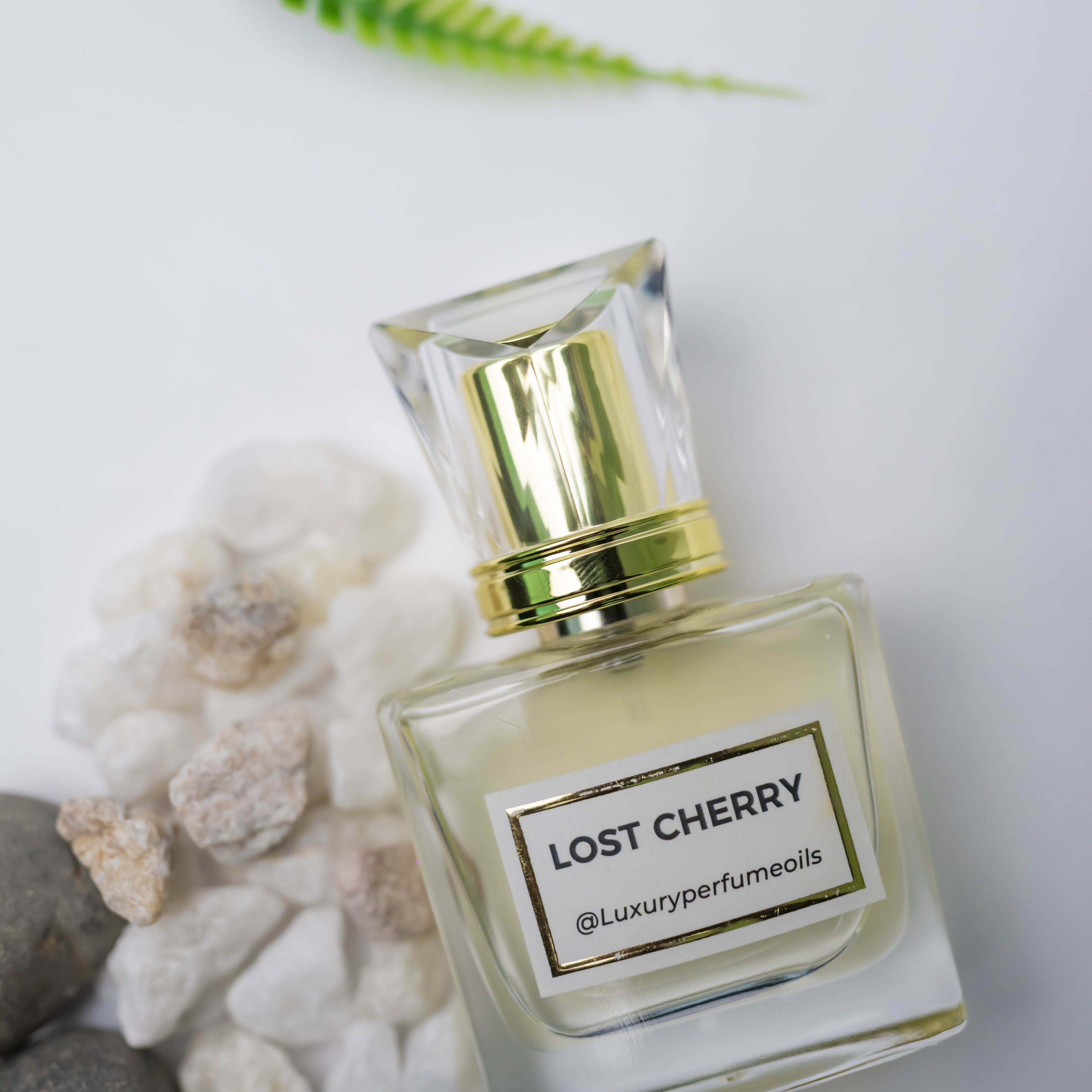 Lost Cherry