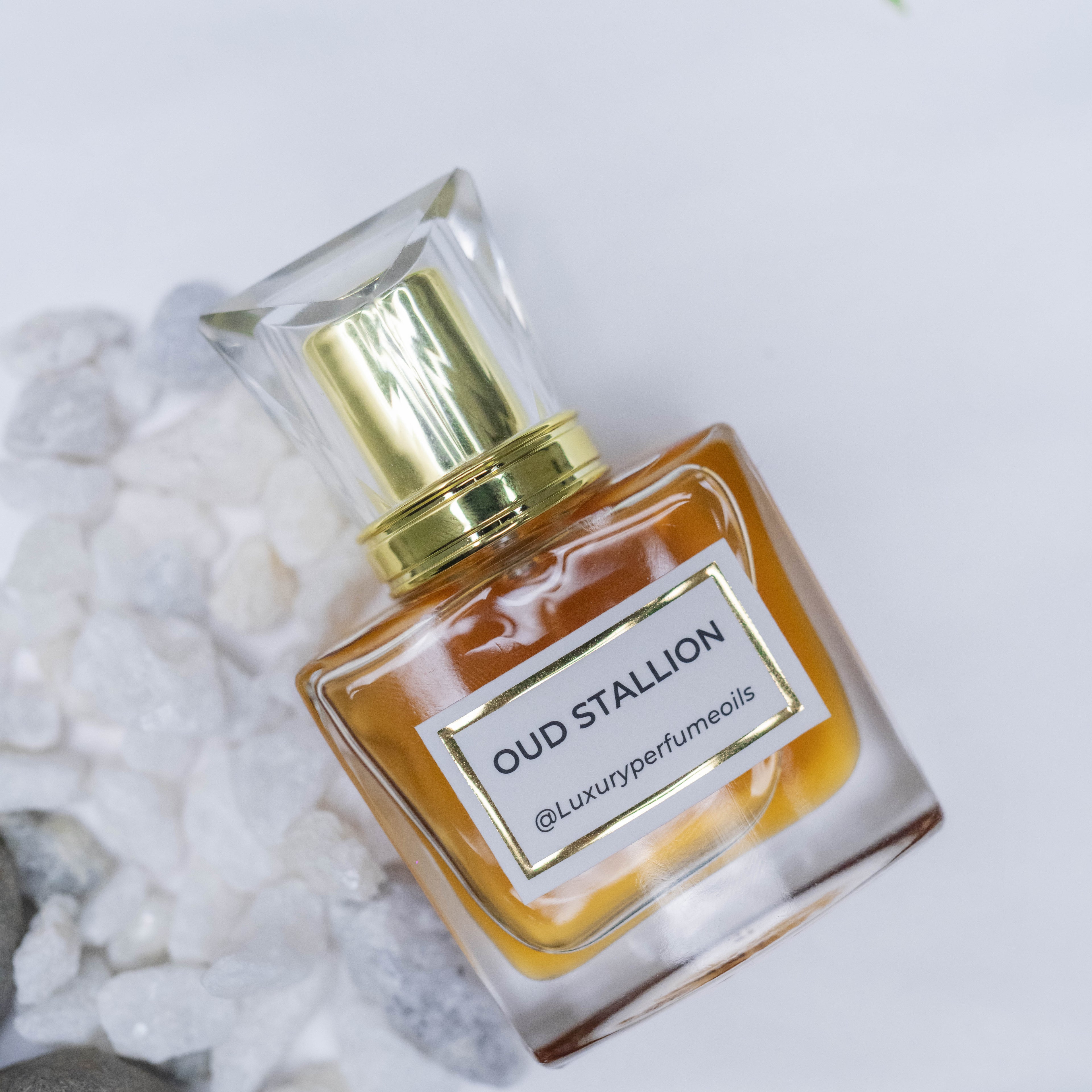 Oud Stallion