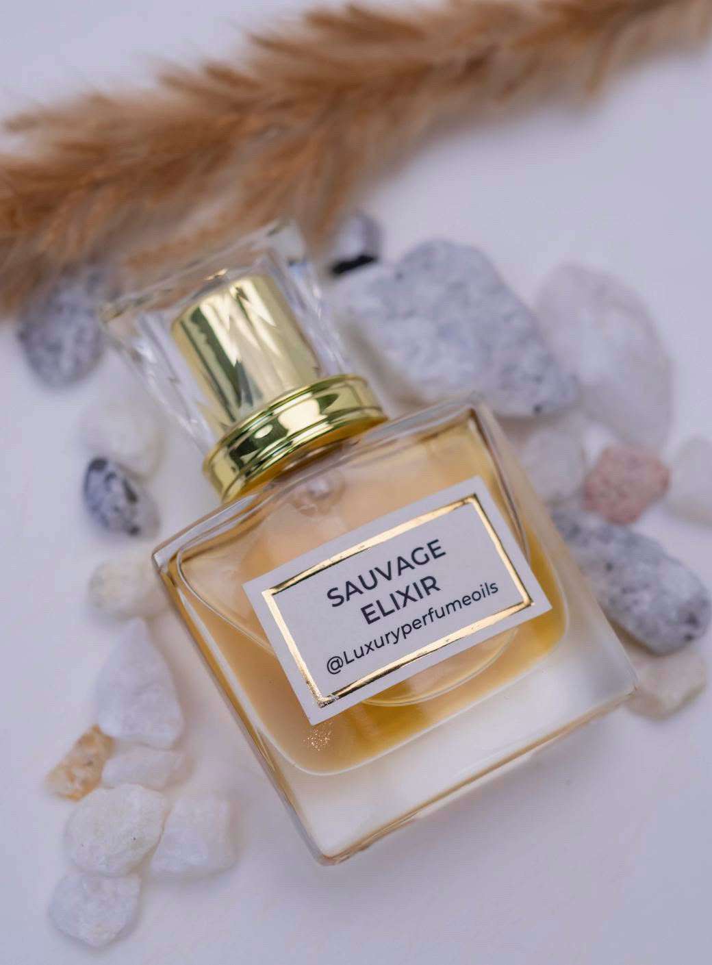 Sauvage Elixir